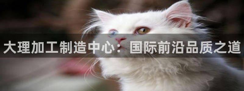 万事达娱乐唐善良