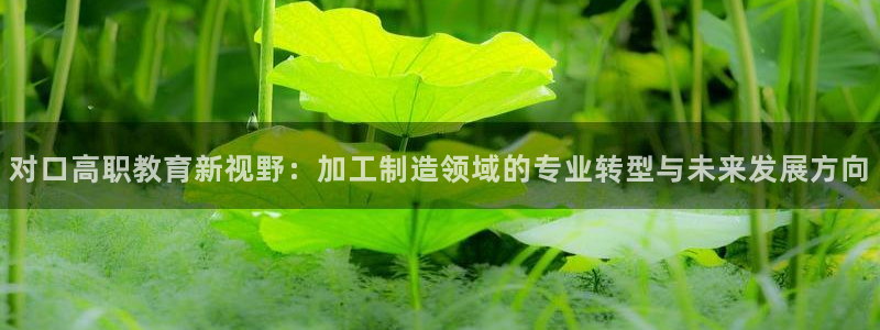 万事娱乐主管年薪多少万