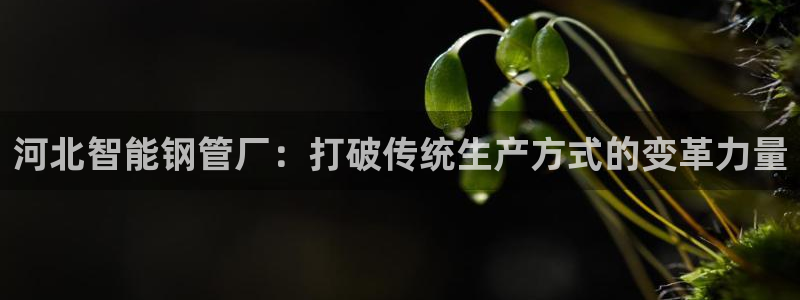 万事达娱乐首页