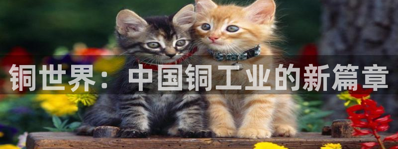 万事屋电玩娱乐