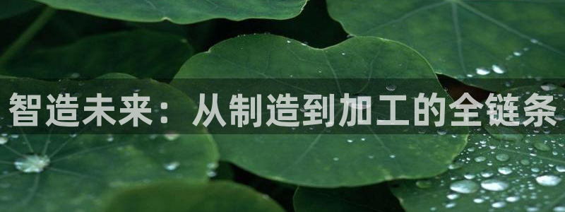 万事娱乐公司简介图片