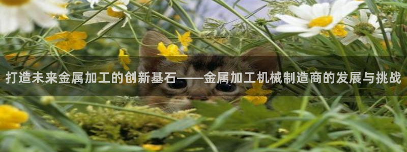 万事达娱乐P妙441200