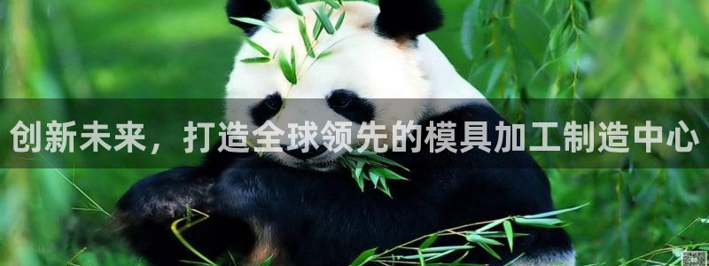 万事达娱乐h OO判官