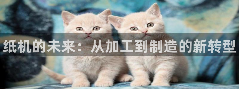 万事娱乐app下载