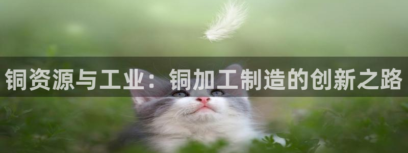 万事娱乐怎么拿代理