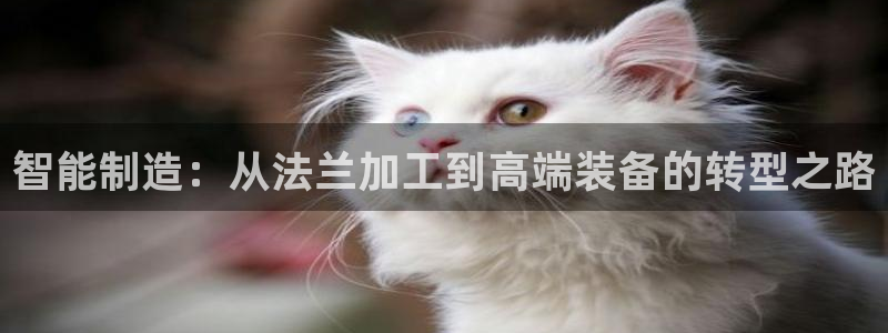 万事娱乐代理加盟条件