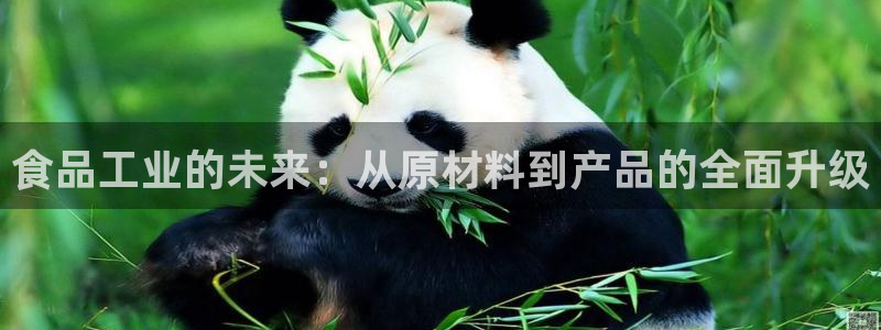 万事达娱乐指尖得