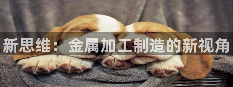 万事娱乐下载地址在哪