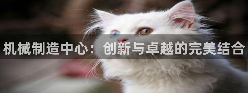 万事达娱乐指尖年