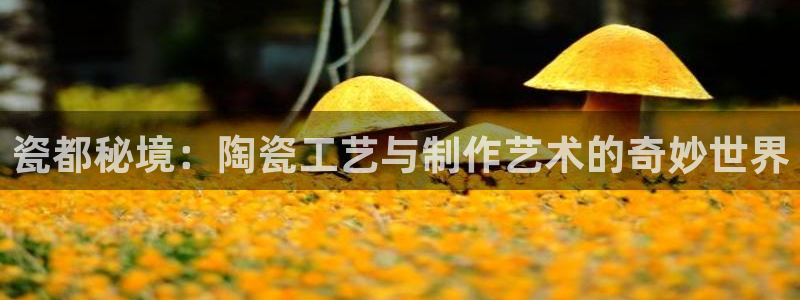 万事达娱乐f 判官