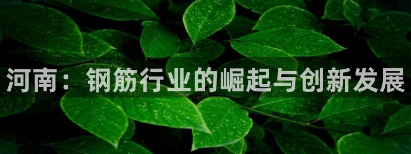 万事娱乐的介绍词
