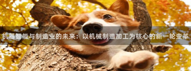 万事达娱乐b 判官