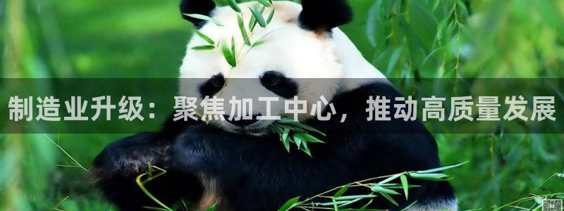 万事娱乐平台登录入口