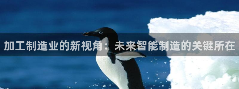 万事达娱乐指尖年