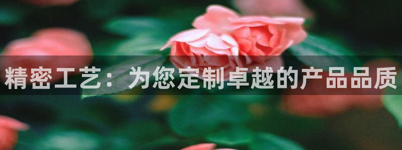 万事达娱乐i 判官