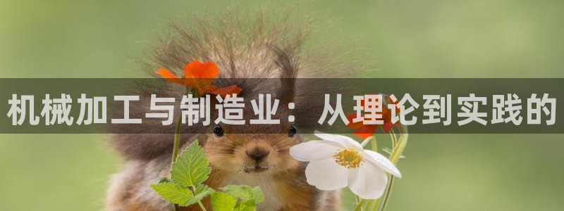 万事如意纯属娱乐