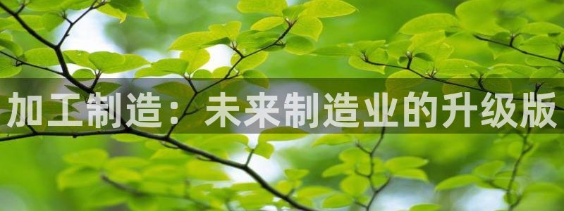 惠东万事达酒店娱乐