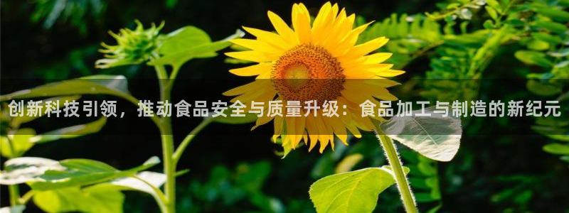 万事达娱乐设施