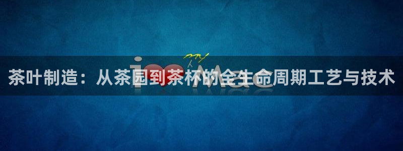 万事达娱乐91244