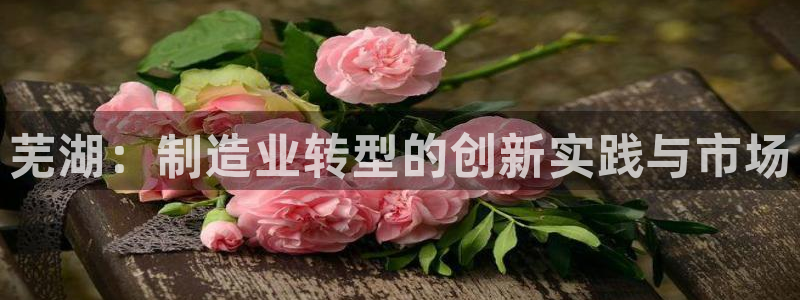 万事娱乐首页登录不了