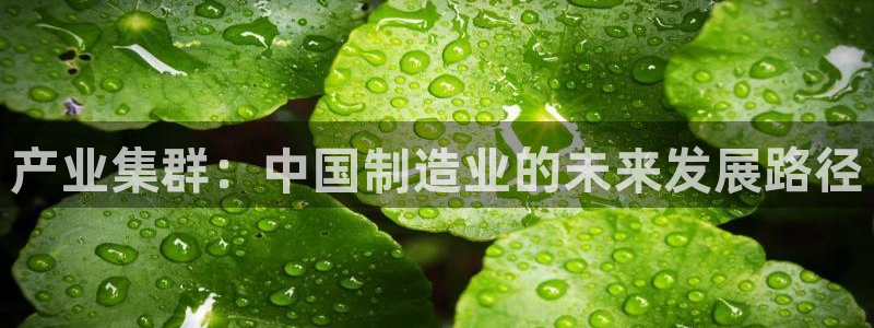 万事娱乐怎么样
