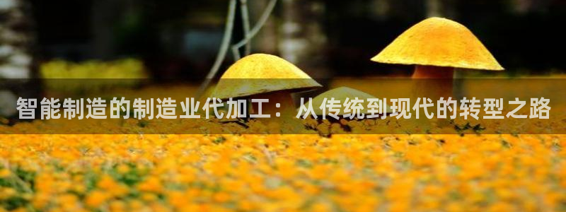 万事娱乐联37997