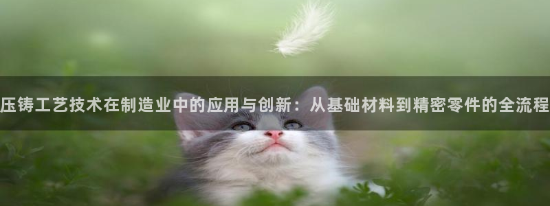 万事娱乐招商加盟电话