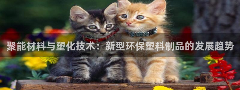 万事达娱乐董善良