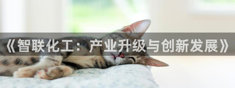 万事达娱乐朱善良