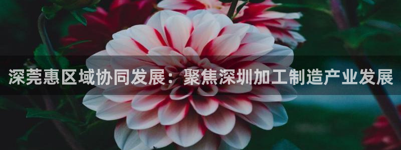 万事2娱乐