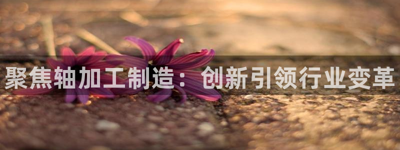万事娱乐代理怎么样