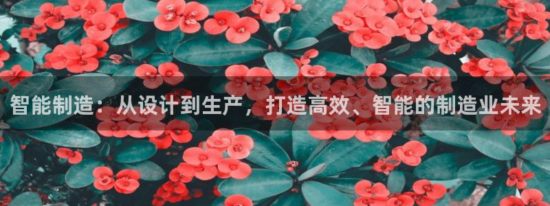 万事博国际娱乐