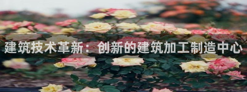 万事娱乐登录地址