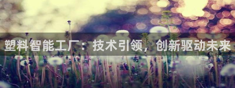 万事达娱乐筘55312