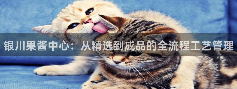 万事达大酒店娱乐