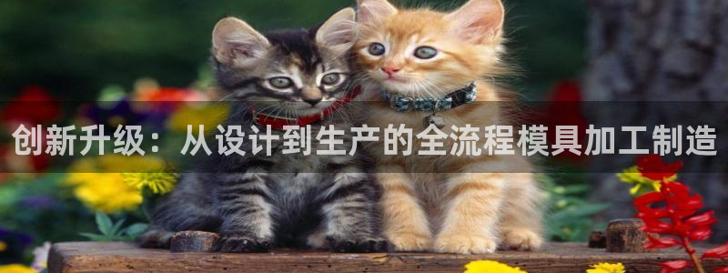 万事达娱乐交锋