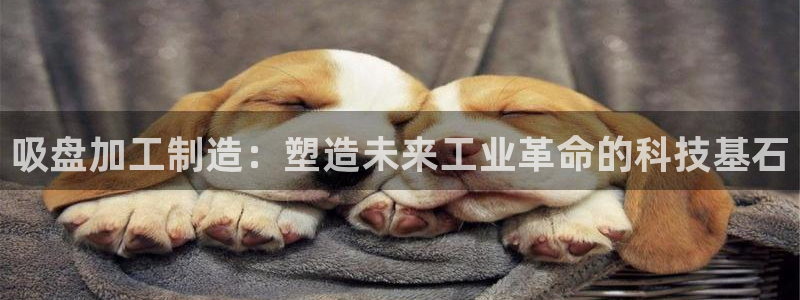 万事娱乐平台登录入口