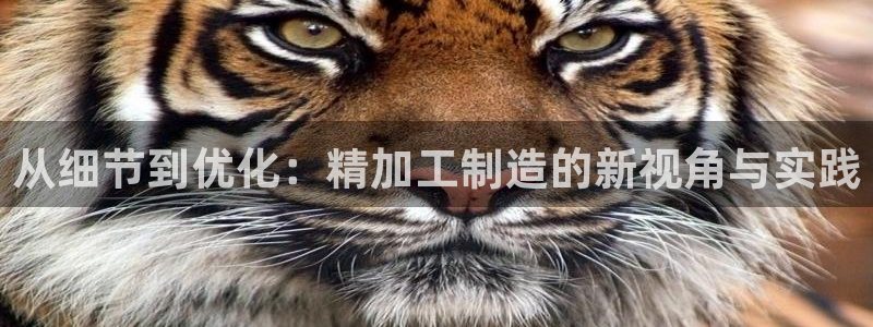 万事娱乐平台