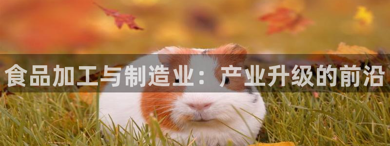 万事达娱乐m招商50015