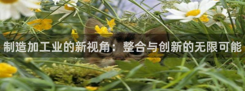 万事达娱乐董善良